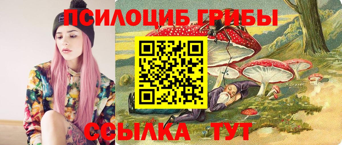 Ефремов  Галлюциногенные грибы MAGIC MUSHROOMS  Вход с VPN 
